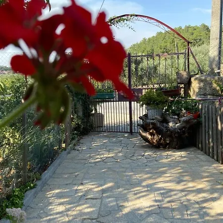 Casa Da Aldeia Da Avó