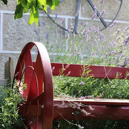 Casa Da Aldeia Da Avo