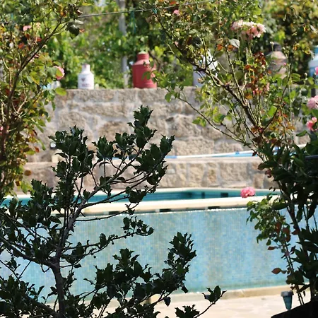 Casa Da Aldeia Da Avo