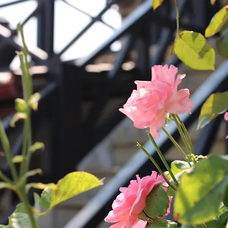 Casa Da Aldeia Da Avo 4* Valpaços