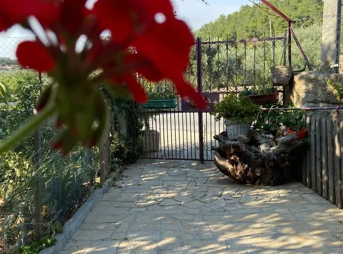 Casa Da Aldeia Da Avo