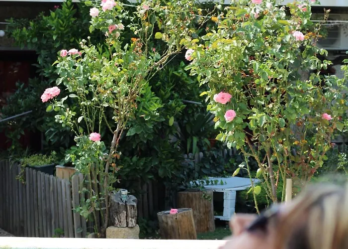 Casa Da Aldeia Da Avo 住宿加早餐酒店 Valpaços