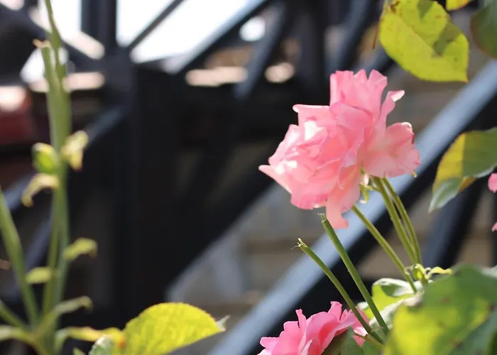 Casa Da Aldeia Da Avo 4* Valpaços