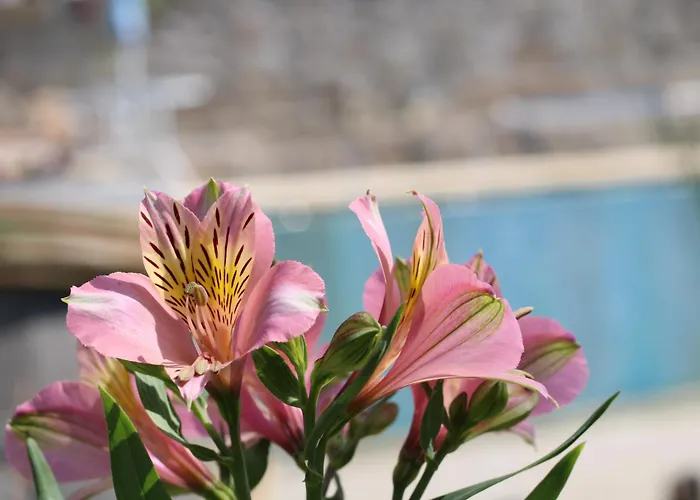 Casa Da Aldeia Da Avo 4* Valpaços