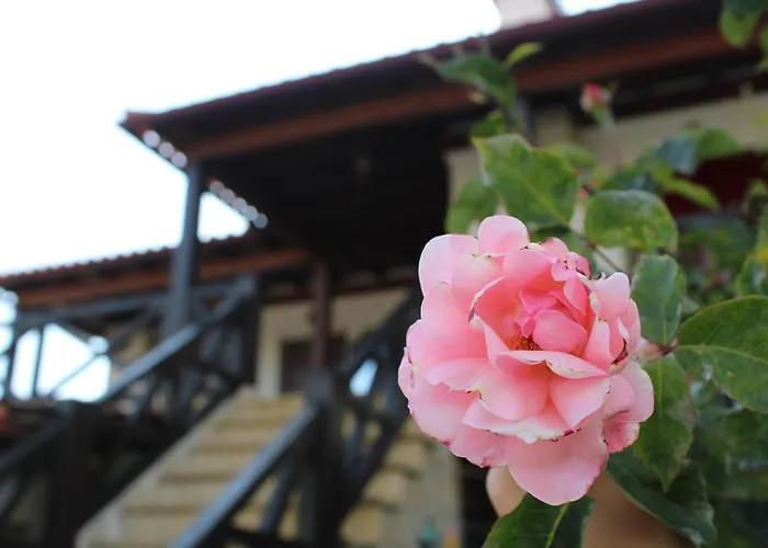 Casa Da Aldeia Da Avo